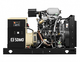 Газовый генератор SDMO Nevada GZ125 фото и характеристики -