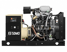 Газовый генератор SDMO Nevada GZ250 фото и характеристики -