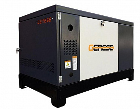 Газовый генератор Genese Standard 14000 Neva в кожухе фото и характеристики - Фото 1