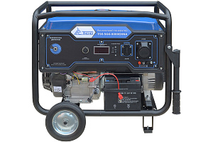 Бензиновый генератор ТСС SGG 8000EHNA в кожухе МК-1.1 фото и характеристики - Фото 2