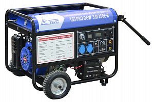 Бензиновый сварочный генератор ТСС PRO GGW 3.0/250E-R фото и характеристики - Фото 2