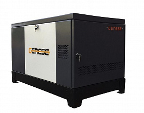 Газовый генератор Genese Standard 17000T Neva в кожухе фото и характеристики - Фото 2