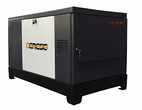 Газовый генератор Genese Standard 8000 Neva в кожухе фото и характеристики - Фото 2