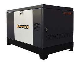 Газовый генератор Genese Standard 14000 Neva в кожухе фото и характеристики - Фото 2