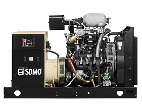 Газовый генератор SDMO Nevada GZ200 фото и характеристики -