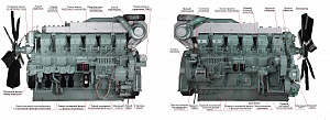 Дизельный генератор ТСС АД-1000С-Т400-1РМ8 фото и характеристики - Фото 2