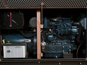 Дизельный генератор Toyo TG-30SBS в кожухе фото и характеристики - Фото 3