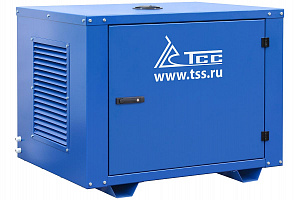 Бензиновый генератор 6 кВт ТСС SGG 6000EH3NA в кожухе МК-1.1 фото и характеристики - Фото 1