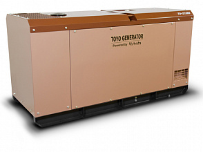 Дизельный генератор Toyo TG-21SBS в кожухе фото и характеристики - Фото 4