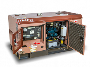 Дизельный генератор Toyo TKV-14TBS в кожухе фото и характеристики - Фото 3