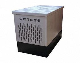 Дизельный генератор Genese DS8000T фото и характеристики -