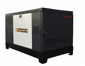 Газовый генератор Genese Standard 17000 Neva в кожухе фото и характеристики - Фото 2