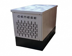 Дизельный генератор Genese DS11000 фото и характеристики -