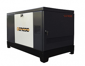 Газовый генератор Genese Standard 12000 Neva в кожухе фото и характеристики - Фото 2